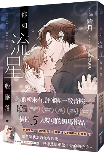 你如流星般墜落