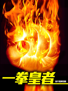 一拳皇者